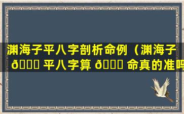 渊海子平八字剖析命例（渊海子 🍁 平八字算 🐎 命真的准吗）